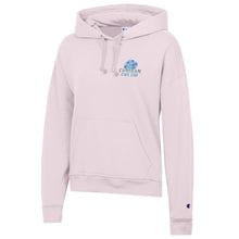 Hydrangea Pink Hood