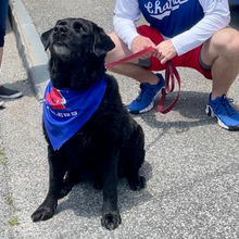 Chatham Anglers Bandana